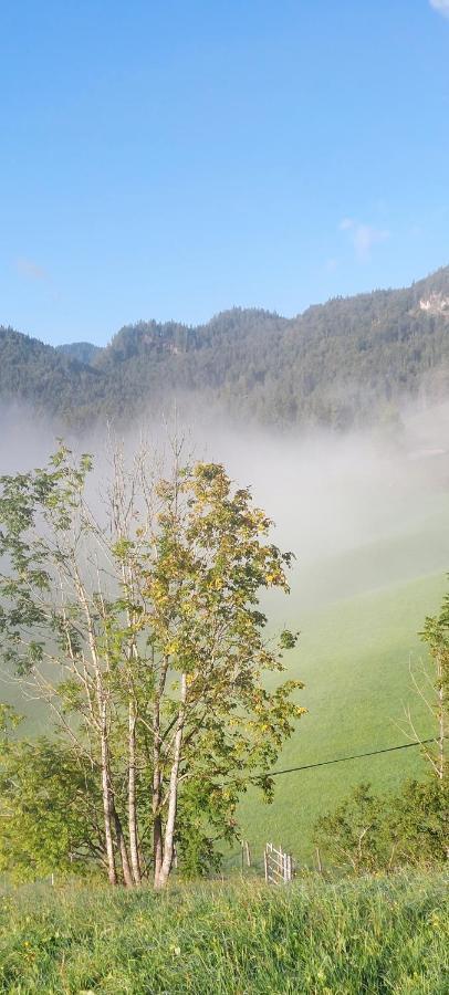 Вилла Bichlhof Riedenberg Тирзе Экстерьер фото