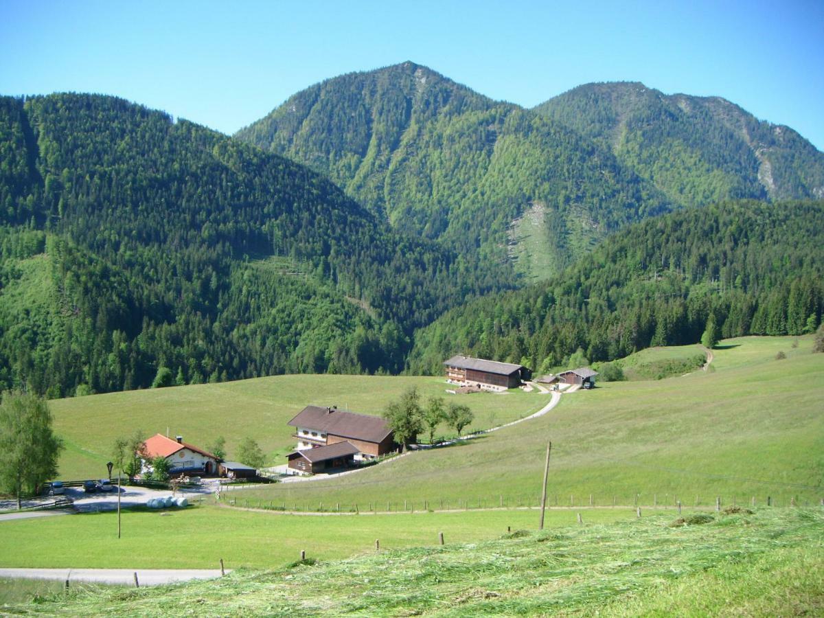 Вилла Bichlhof Riedenberg Тирзе Экстерьер фото